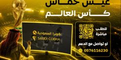 دليلك لاختيار أفضل اشتراك IPTV بين سمارترز وهولك وفالكون